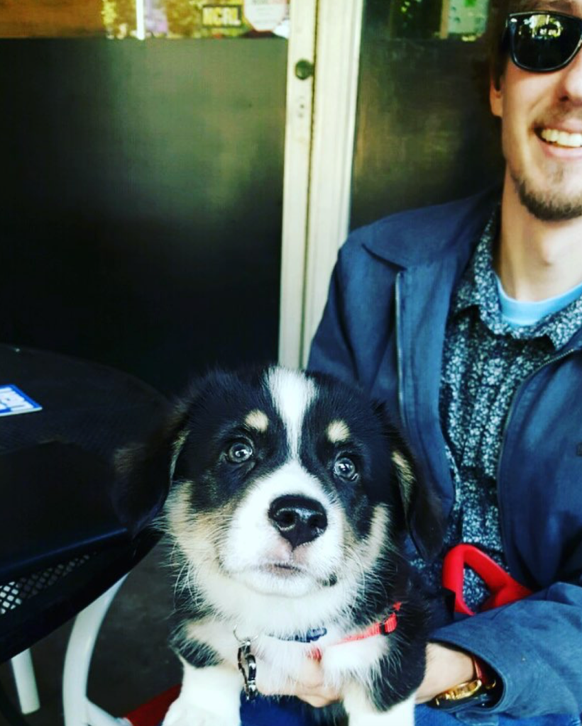 players retreat pup